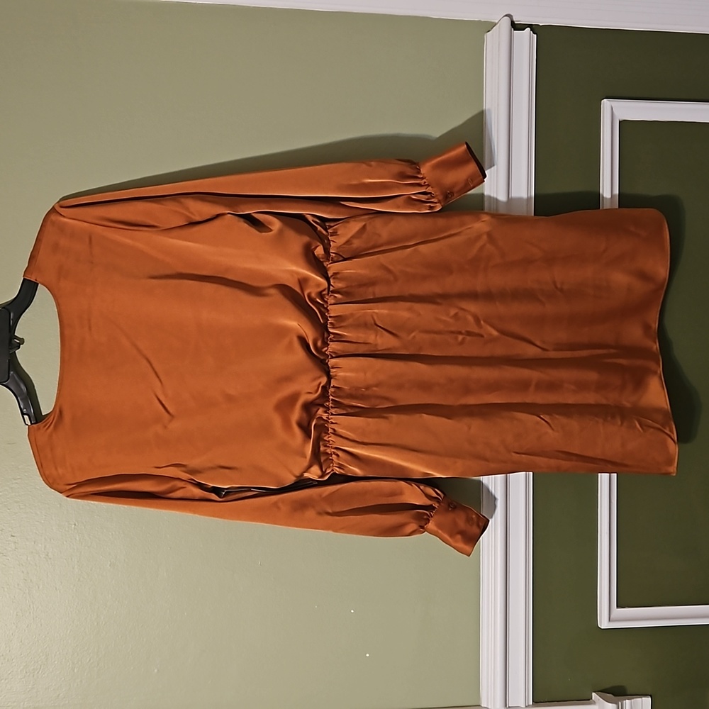 NWT! Women's Beautiful Bronze Faux Wrap Dress - Picture 5 of 6